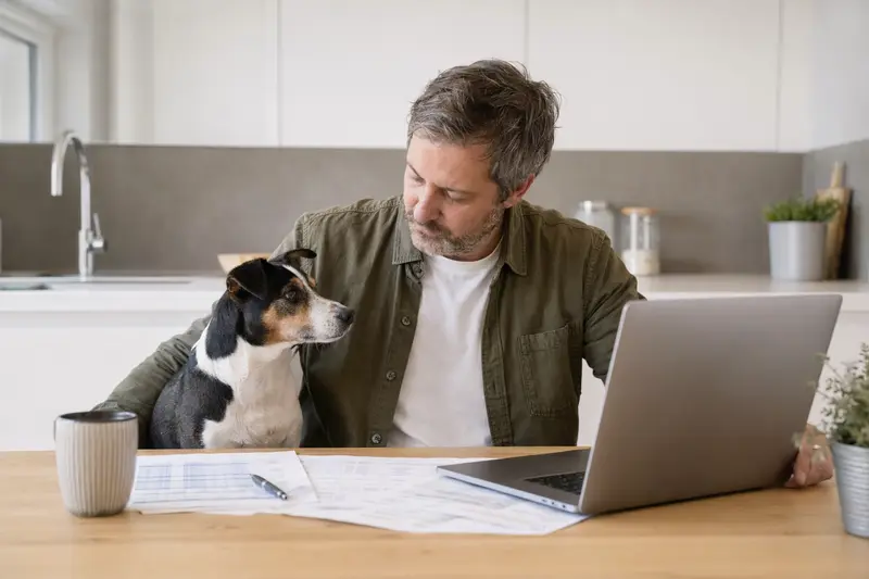 Ein Brasilianischer Terrier sitzt ruhig neben seinem Besitzer am Küchentisch, während Versicherungsunterlagen und ein Laptop mit Vergleichsseite auf eine Tierkrankenversicherung hinweisen.