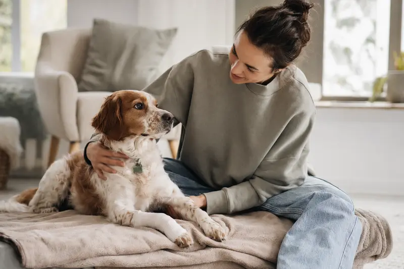 Ein entspannter Brittany Hund mit einem leichten Verband an der Pfote liegt auf einer Decke, während sein erleichterter Besitzer neben ihm sitzt.
