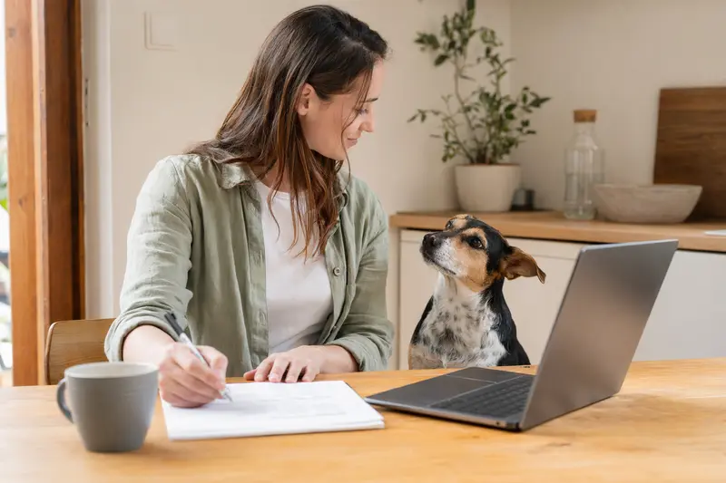 Ein Ca de Rater Valencia Hund sitzt neben seinem Besitzer am Küchentisch, während Versicherungsunterlagen und ein Laptop auf dem Tisch liegen.