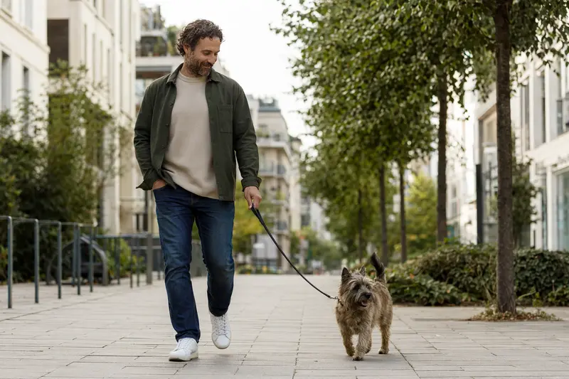 Ein Cairn Terrier läuft an der Leine mit seinem Besitzer durch eine moderne Stadtstraße im Alltag.