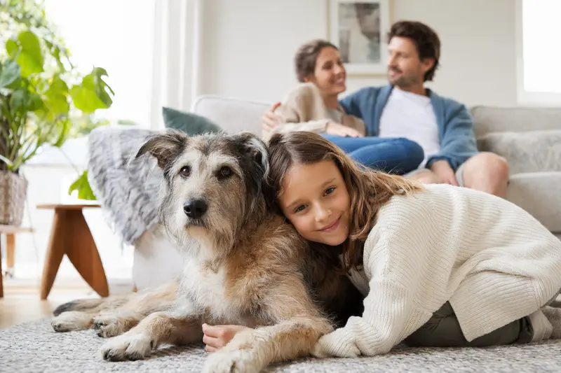 Ein Cane da Pastore liegt entspannt neben einem Kind im Wohnzimmer, während die Eltern im Hintergrund eine sichere Familienatmosphäre schaffen.