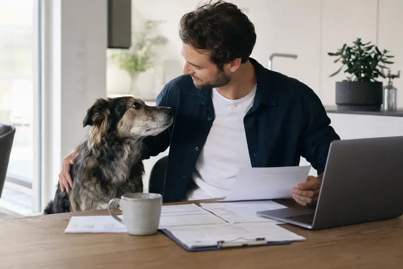 Cane da Pastore sitzt ruhig neben seinem Besitzer am Küchentisch, während Versicherungsunterlagen und ein Laptop mit Vergleichsseite die Hundekrankenversicherung thematisieren.