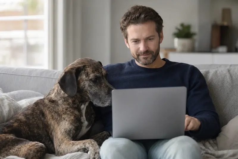 Ein Hundebesitzer arbeitet am Laptop auf dem Sofa, während ein Cane Di Maccelaio neben ihm sitzt und eine Versicherungsvergleichsseite auf dem Bildschirm zu sehen ist.
