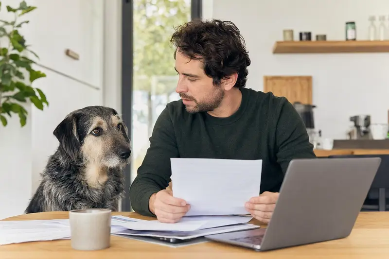 Ein Cao da Serra da Estrela Hund sitzt neben seinem Besitzer am Küchentisch, auf dem Versicherungsunterlagen und ein Laptop liegen.