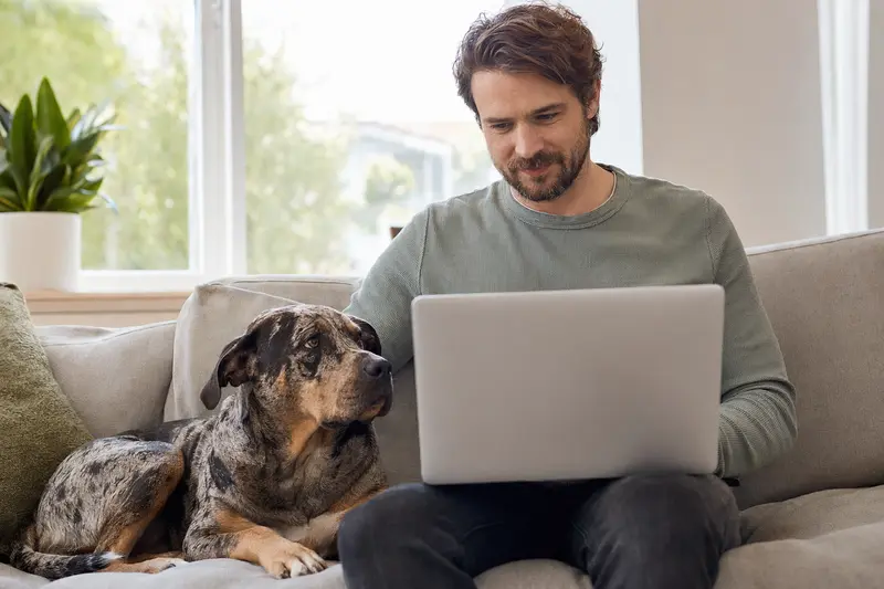 Ein Hundehalter sitzt entspannt mit einem Laptop auf dem Sofa, während ein Catahoula Bulldogge neben ihm liegt und auf den Bildschirm schaut.