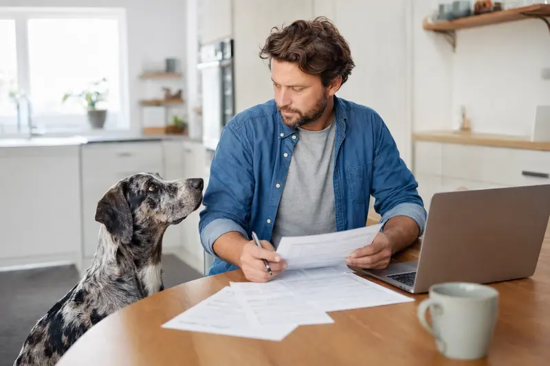 Ein Catahoula Leopard Dog sitzt an einem Küchentisch neben seinem Besitzer, auf dem ein Laptop und Versicherungsunterlagen liegen.