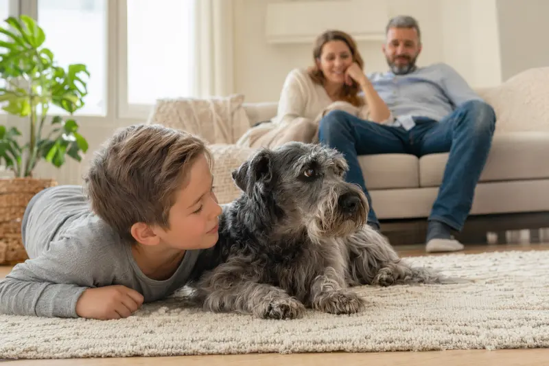 Ein freundlicher Cesky Terrier entspannt sich neben einem Kind im Wohnzimmer und strahlt eine vertrauensvolle Atmosphäre aus.