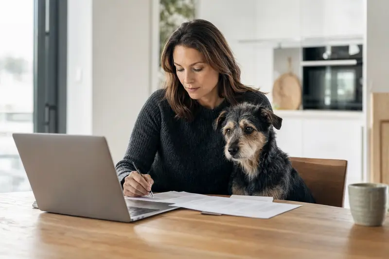 Ein ruhiger Chambray Hund sitzt neben seinem Besitzer am Küchentisch mit Versicherungsunterlagen und einem Laptop.