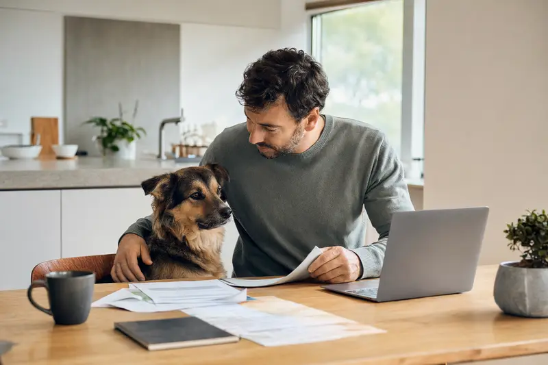 Ein Charnegue Hund sitzt ruhig neben seinem Besitzer am Küchentisch mit Versicherungsunterlagen und Laptop zur Tierkrankenversicherung.