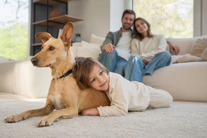 Ein freundlicher Charnegui Hund liegt entspannt neben einem Kind im Wohnzimmer, während die Eltern im Hintergrund eine sichere und liebevolle Familienatmosphäre genießen.