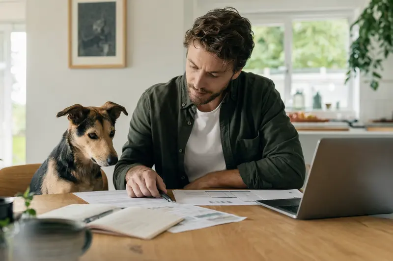 Ein Charnegui Hund sitzt friedlich neben seinem Besitzer am Küchentisch mit Versicherungsunterlagen und einem Laptop.