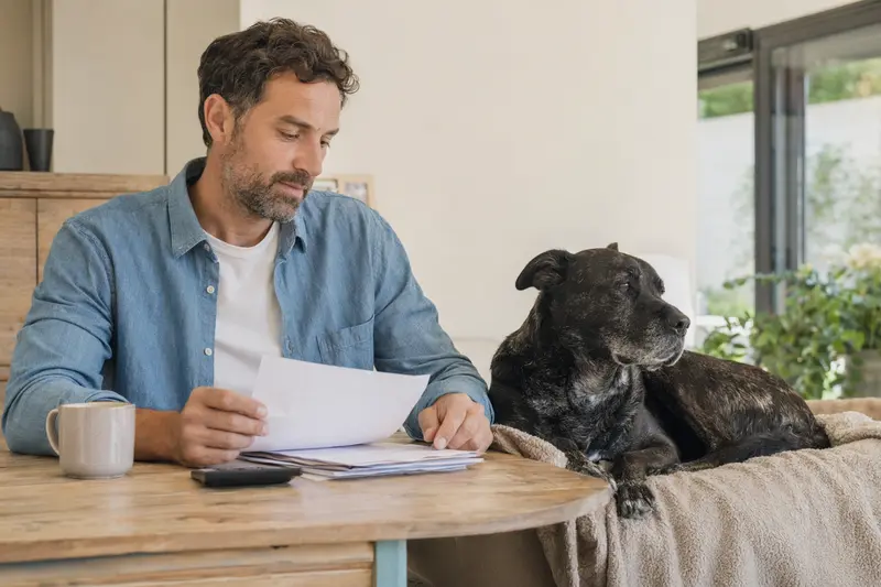 Besitzer mit Tierarztrechnung am Tisch, daneben liegt ein entspannter Chien Corse auf einer Decke in einer hellen Wohnung.