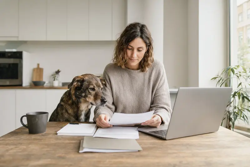 Ein Chien Corse Hund sitzt entspannt neben seinem Besitzer, während sie Versicherungsunterlagen und einen Laptop auf dem Tisch betrachten.