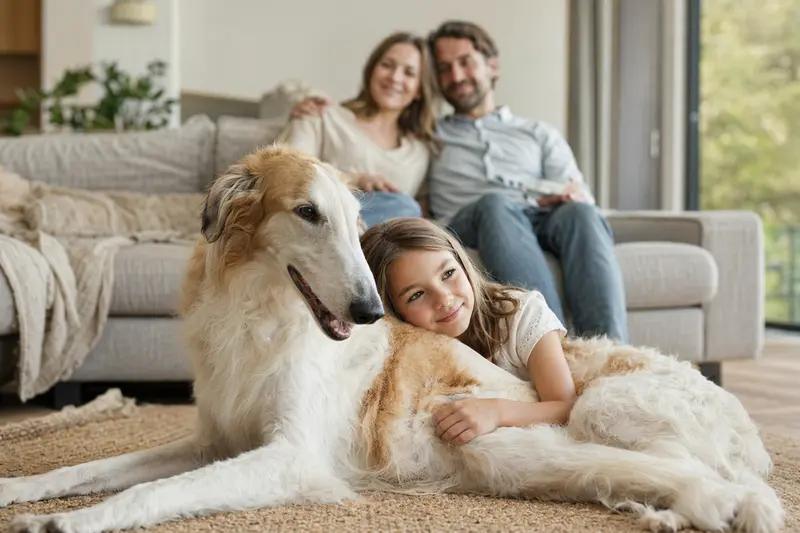 Ein entspannter Chortaja Borzaja Hund liegt neben einem Kind in einem hellen Wohnzimmer und vermittelt ein Gefühl von Sicherheit und Geborgenheit.