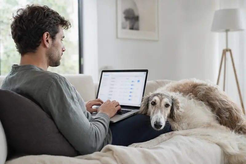 Ein Hund sitzt neben seinem Besitzer auf dem Sofa, während dieser einen Laptop mit Versicherungsvergleichs-Website nutzt.