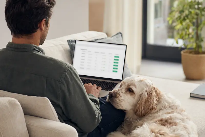 Ein Besitzer mit Laptop auf dem Sofa neben seinem Clumber-Spaniel, Bildschirm zeigt eine neutrale Versicherungsvergleichs-Oberfläche.