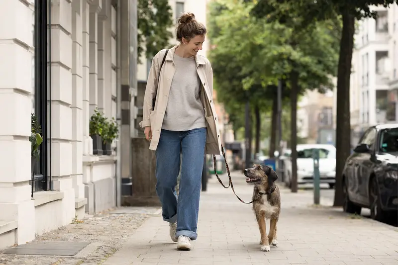 Ein Hund läuft an der Leine mit seinem Besitzer durch eine moderne Stadtstraße in entspannter Alltagssituation.