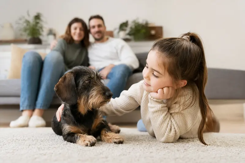 Ein entspannter Dachshund liegt neben einem Kind im Wohnzimmer und schafft eine vertrauensvolle Familienatmosphäre.