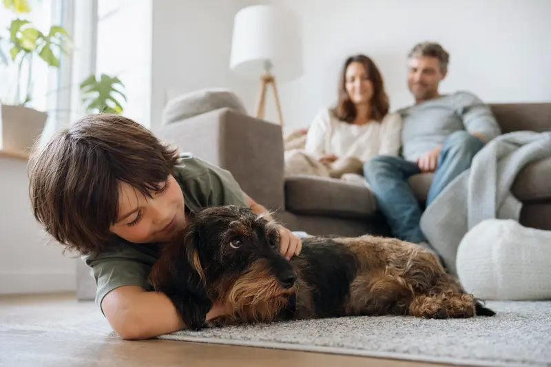 Ein Dackel liegt entspannt neben einem Kind im Wohnzimmer und strahlt Vertrauen aus.
