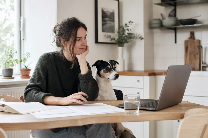 Ein Dänisch-Schwedischer Farmhund sitzt friedlich neben seinem Besitzer, während auf dem Küchentisch Versicherungsunterlagen und ein Laptop mit Vergleichsseiten liegen.
