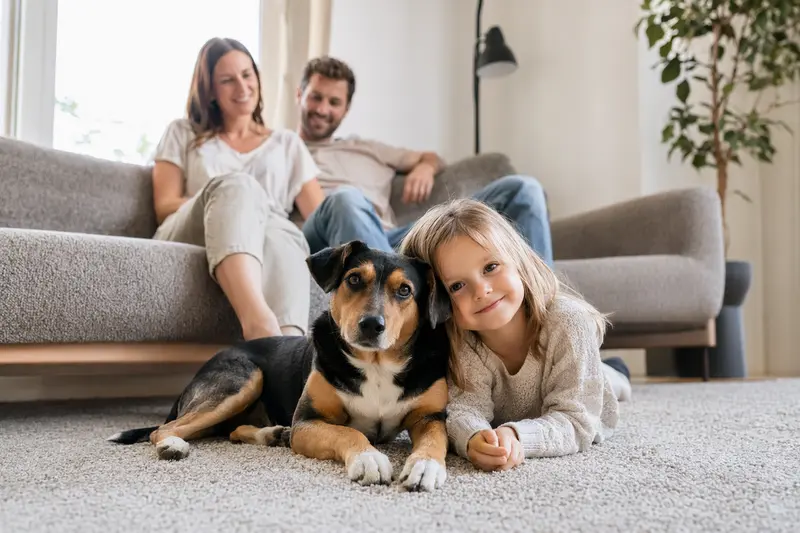 Ein entspannter Dansk-Svensk Gardshund Hund liegt neben einem Kind in einem hellen Wohnzimmer.