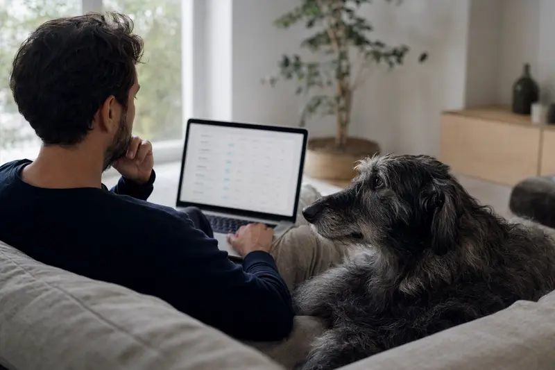 Besitzer sitzt entspannt mit Laptop und Deerhound-Hund auf dem Sofa in einer hellen Wohnung, während er eine Versicherungsvergleichsseite betrachtet.