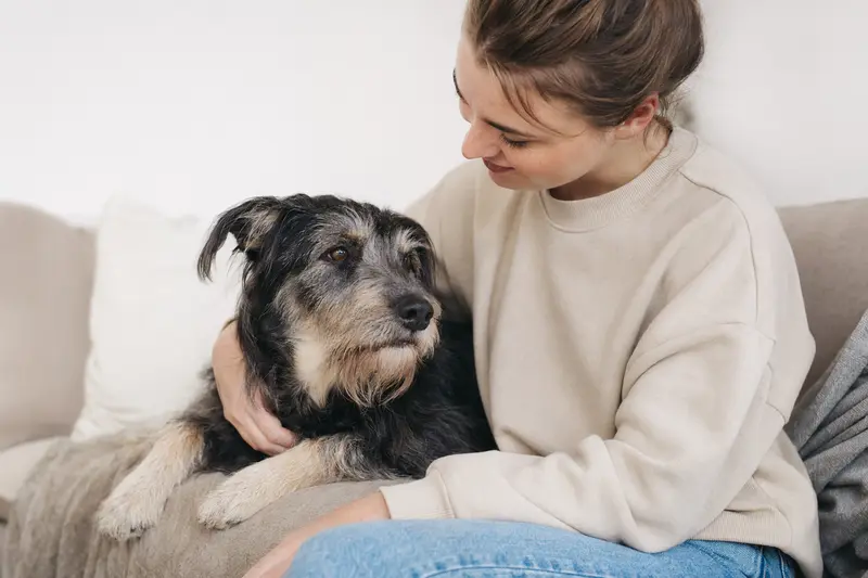 Aufmerksam stehender Designerhund in natürlicher Haltung vor hellem Hintergrund, als hochwertiges Tierportrait mit klarer Fellstruktur und weichem Licht.