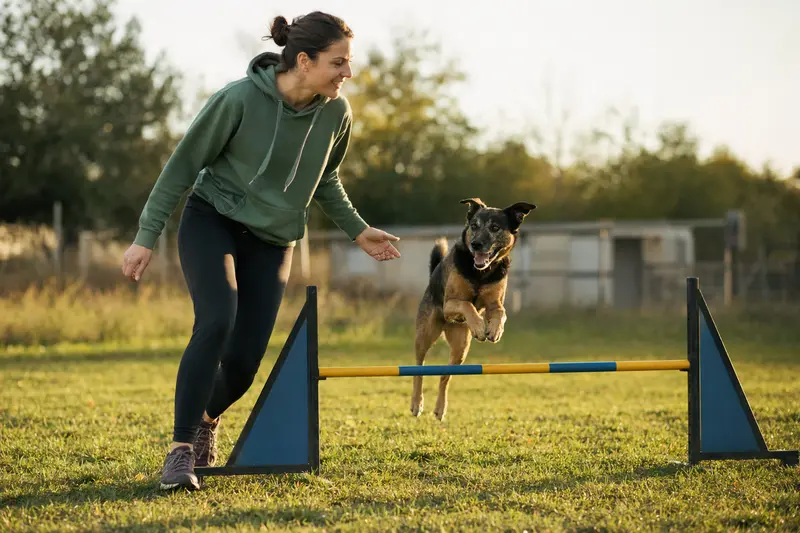 Ein sportlicher Designerhund springt mit seinem Besitzer über eine kleine Trainingshürde auf dem Hundeplatz.