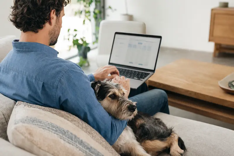 Ein Besitzer sitzt entspannt mit seinem Designerhund auf dem Sofa und vergleicht Tierversicherungen auf dem Laptop.