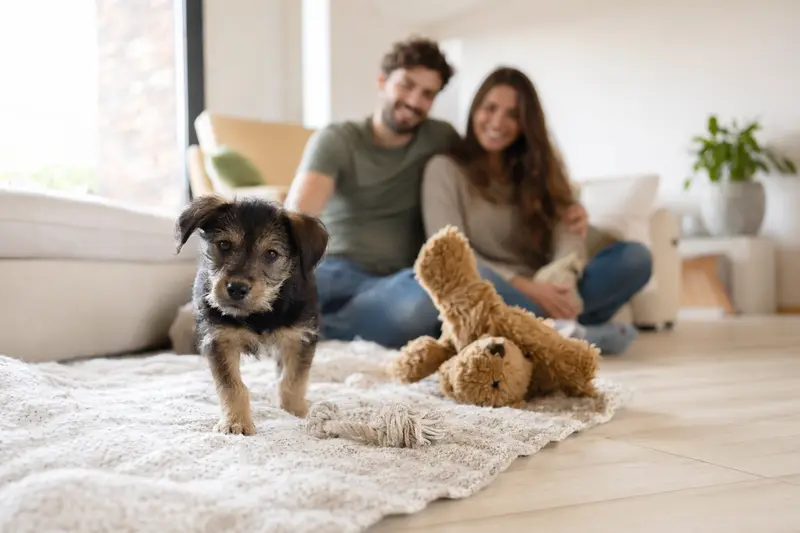Ein neugieriger Designerhund Welpe erkundet sein neues Zuhause mit einer liebevollen Familie im Hintergrund.
