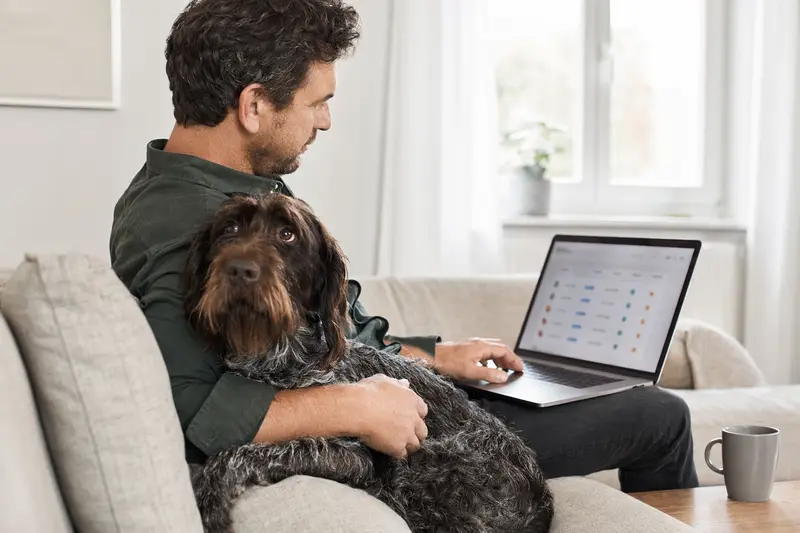 Ein Hundebesitzer arbeitet entspannt am Laptop auf dem Sofa, während ein Deutsch Drahthaar Hund daneben sitzt.