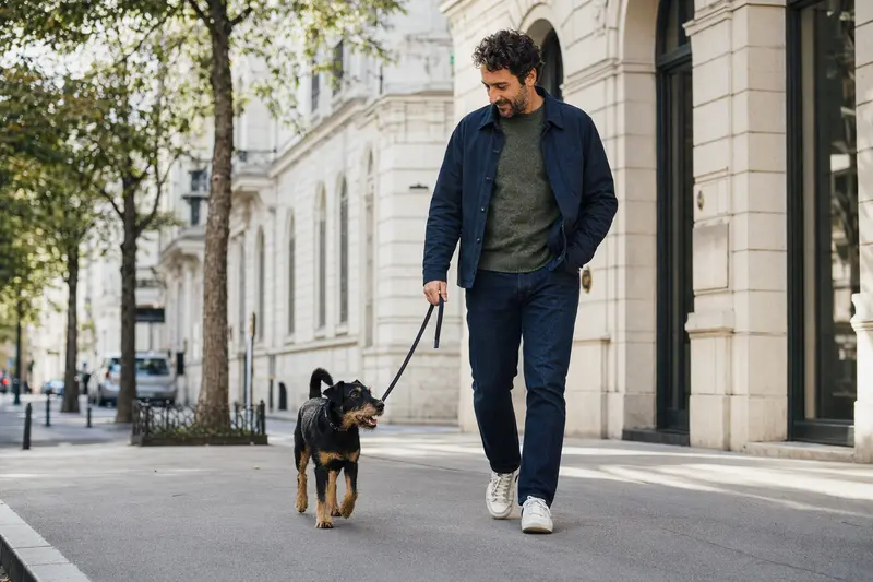 Ein Deutscher Jagdterrier läuft angeleint mit seinem Besitzer entspannt durch eine moderne Stadtstraße.