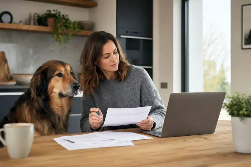 Ein ruhiger Do Khyi Hund sitzt neben seinem Besitzer am Küchentisch, auf dem Versicherungsunterlagen und ein Laptop liegen.