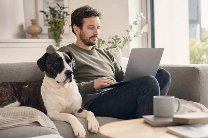 Ein Hundebesitzer mit Dogo Mallorquin arbeitet am Laptop zu Hause und sucht nach passenden Tierkrankenversicherungen.