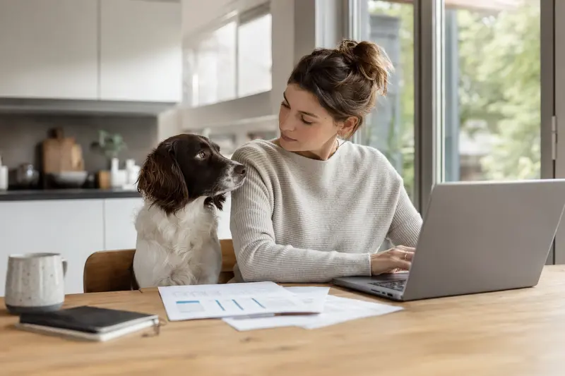 Ein Drentsche Patijshond sitzt ruhig neben seinem Besitzer am Küchentisch mit Versicherungsunterlagen und einem Laptop zur Hundekrankenversicherung.