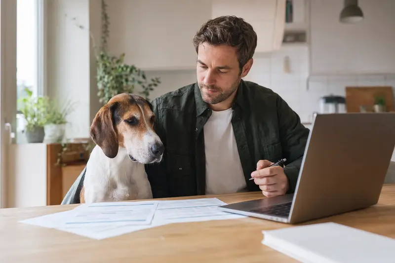 Ein English Foxhound sitzt entspannt neben seinem Besitzer am Küchentisch, auf dem Versicherungsunterlagen und ein Laptop mit Vergleichsseite liegen.