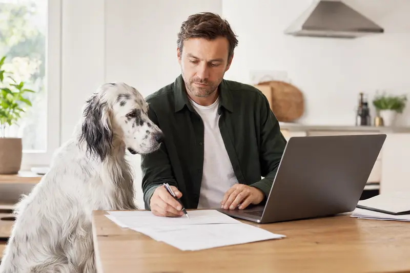 Ein English Setter sitzt gelassen neben seinem Besitzer am Küchentisch mit Versicherungsunterlagen und einem Laptop.