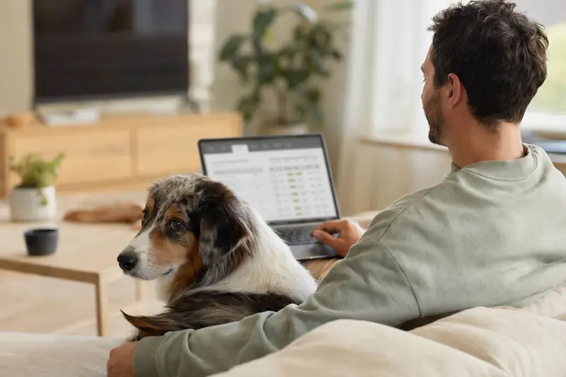 Ein English Shepherd Hund liegt neben seinem Besitzer, der entspannt auf dem Sofa mit einem Laptop arbeitet und eine neutrale Versicherungsvergleichs-Seite betrachtet.