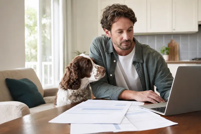 Ein English Springer Spaniel sitzt entspannt neben seinem Besitzer am Küchentisch mit Versicherungsunterlagen und einem Laptop.