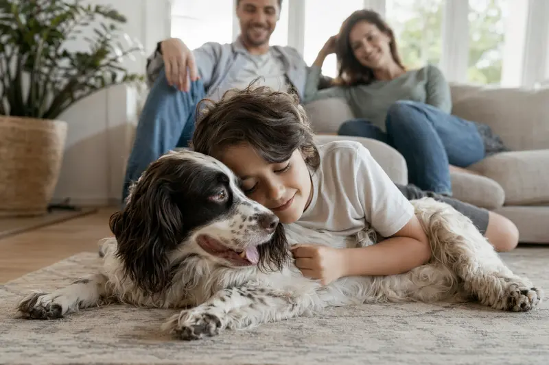 Ein freundlicher Epagneul francais Hund liegt entspannt neben einem Kind im Wohnzimmer.