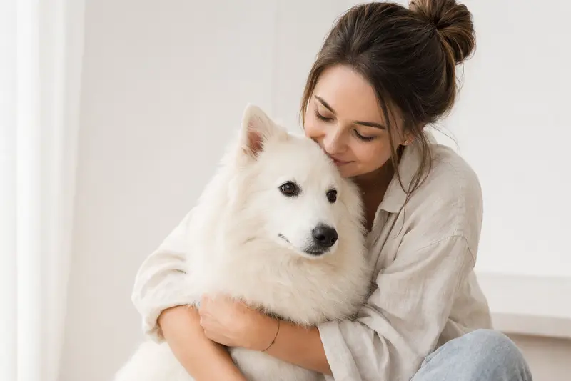 Aufmerksamer Eskimohund in natürlicher Haltung vor hellem Hintergrund, als realistisches Tierportrait für einen Ratgeber zur Hundegesundheit.
