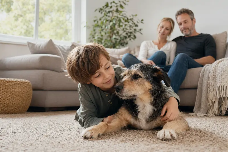 Ein Eurohound Hund liegt entspannt neben einem Kind in einem hellen Wohnzimmer, umgeben von Eltern, und strahlt eine vertrauensvolle Atmosphäre aus.