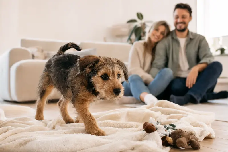 Ein neugieriger Fell Terrier Welpe erkundet sein neues Zuhause mit einer weichen Decke und Spielzeug, während eine liebevolle Familie im Hintergrund zu sehen ist.