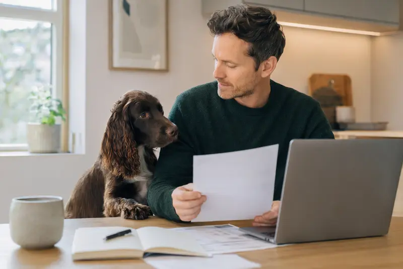 Ein Field Spaniel Hund sitzt entspannt neben seinem Besitzer am Küchentisch mit Versicherungsunterlagen und einem Laptop.