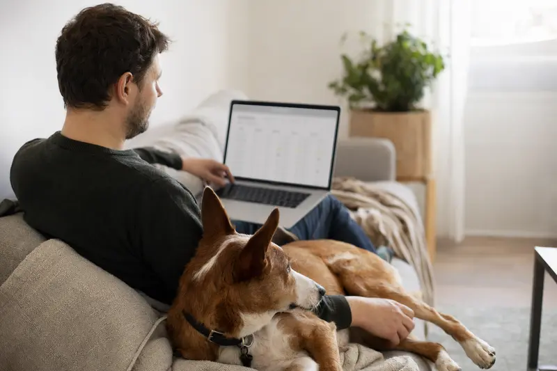 Ein Hundebesitzer sitzt mit seinem Finnenbracke auf dem Sofa und vergleicht Versicherungen auf einem Laptop in einer hellen Wohnung.