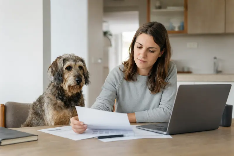 Ein Flämischer Treibhund sitzt entspannt am Küchentisch, während sein Besitzer Versicherungsunterlagen und einen Laptop mit Vergleichsinformationen betrachtet.