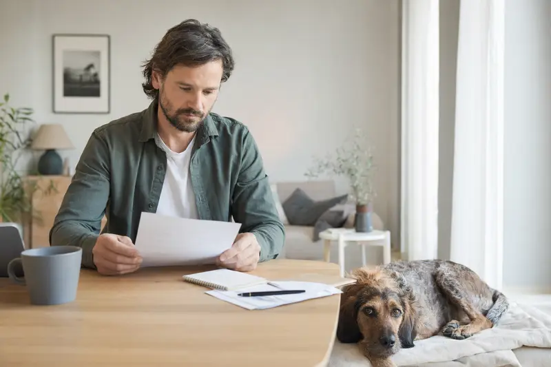 Ein Hundehalter sitzt mit einer Tierarztrechnung am Tisch, während ein entspannter Flandrischer Treibhund auf einer Decke daneben liegt.