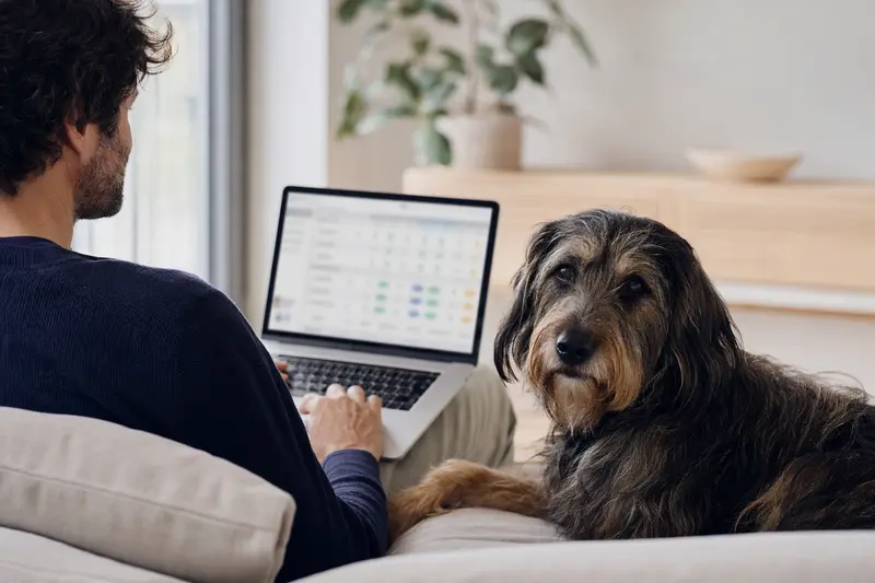 Ein Hundebesitzer arbeitet am Laptop auf dem Sofa, während ein Flandrischer Treibhund ihm Gesellschaft leistet.