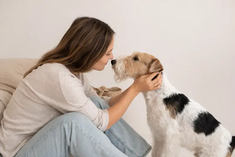 Aufmerksam stehender Foxterrier im natürlichen Porträt vor hellem Hintergrund, mit klar erkennbarer typischer Fellstruktur und Körperform.