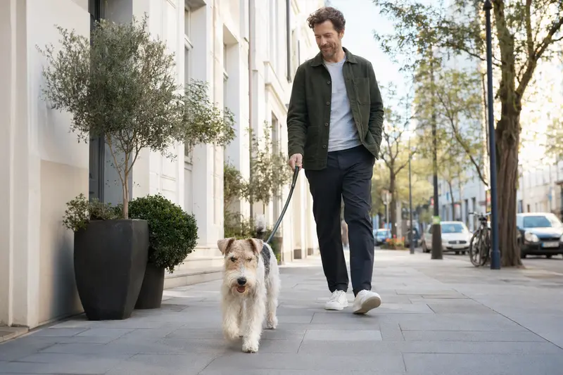 Ein Foxterrier läuft an der Leine mit seinem Besitzer durch eine moderne Stadtstraße.